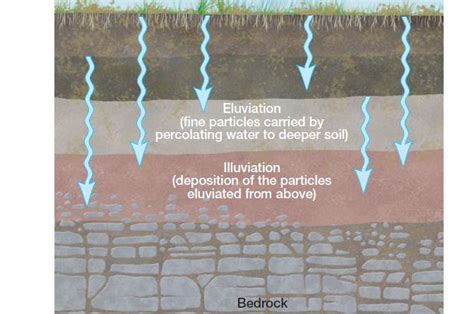 Leaching of Soil upsc | Geography Optional | IAS – Digitally learn