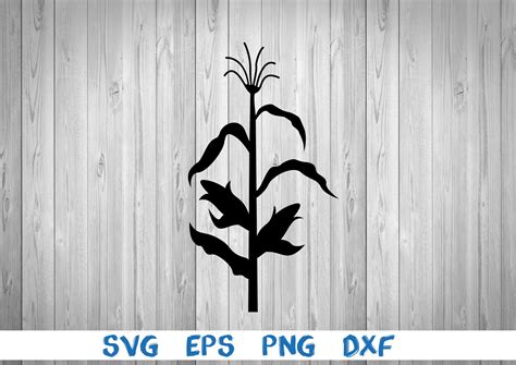 Corn Stalk Corn Silhouette Picture Svg Png Eps Dxf - Etsy