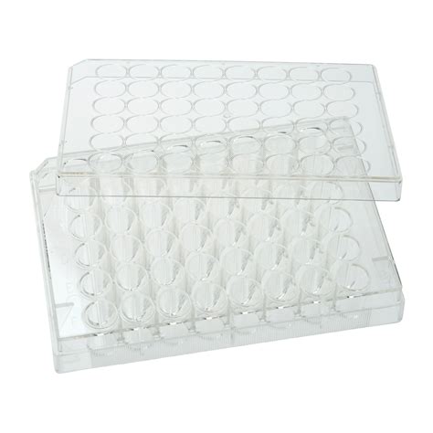 48 Well Tissue Culture Plate - Bellco Glass | Laboratory Glassware