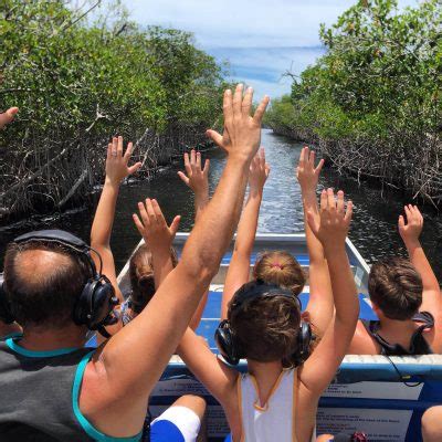 Fan Boat Rides in the Everglades: An Unforgettable Experience with ...