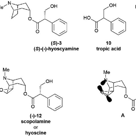 Tropane alkaloids and related compounds. | Download Scientific Diagram