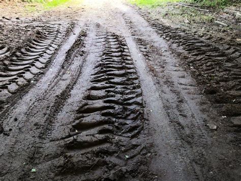 Mud Tracks stock image. Image of leaves, tracks, marks - 2758301