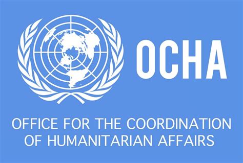 Humanitarian Affairs Officer (Head of Humanitarian Advisory Team), P4 (Temporary Job Opening ...