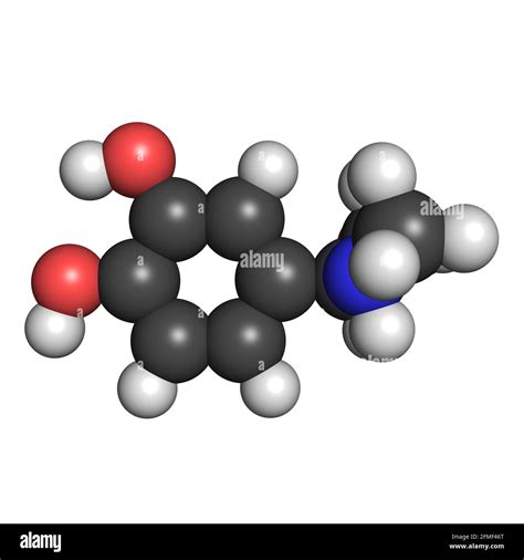 Adrenaline molecule epinephrine medication 3D render chemical structure Stock Photo - Alamy