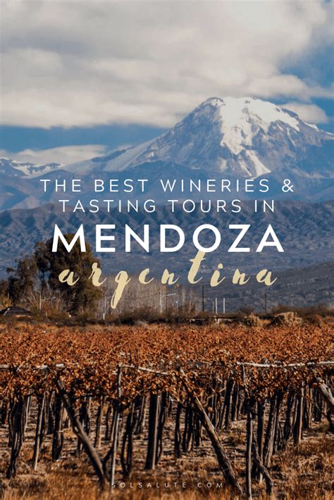 Top 8 Wineries in Mendoza! – Wine International Association WIA