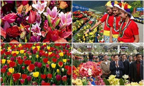 International Flower Festival|Culture events in Gangtok,Sikkim-Indiaeve