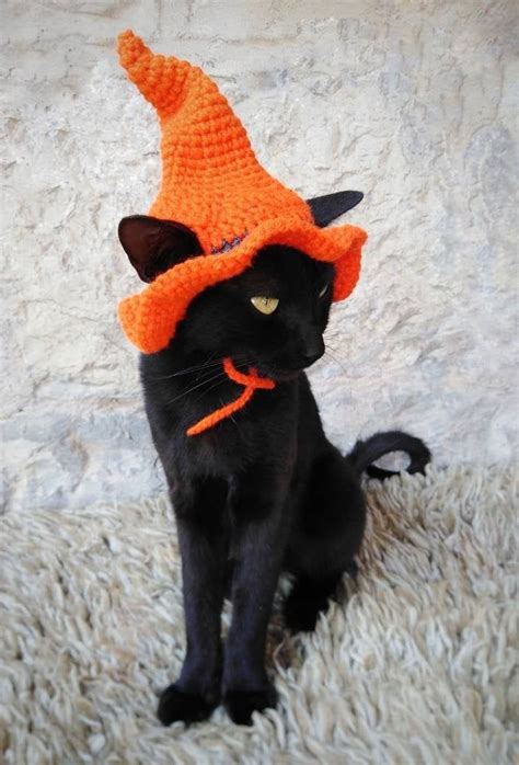 Witch Hat for Cat Pet Costume Cat Halloween Costume Pet - Etsy | Pet costumes cat, Cat halloween ...