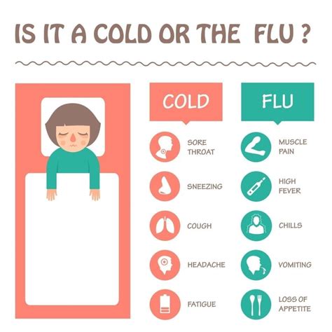 Cold And Flu Symptoms 2024 - Marga Eugenia