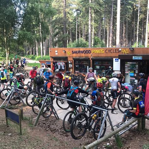 Sherwood Pines Cycles | The Shop in the Forest!