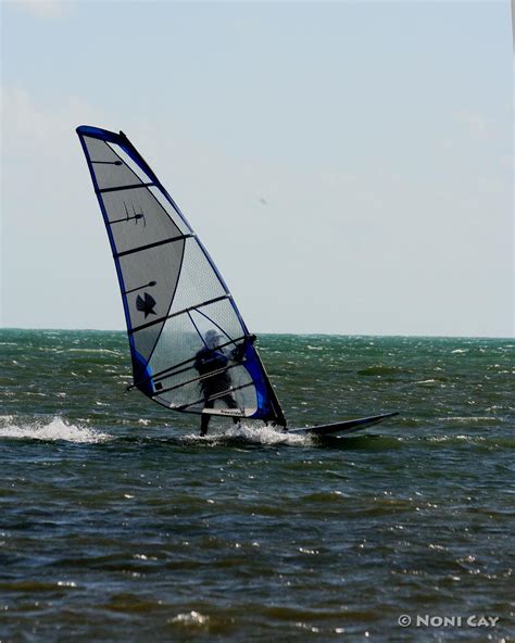 Windsurfers, the Egret and By-The-Wind Sailor | Noni Cay Photography