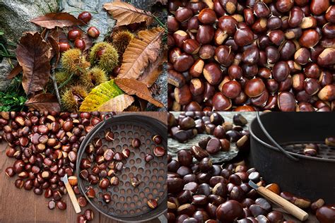 Sweet chestnuts | Heinz Baumann Photography