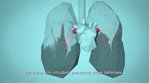 WHO: Breathe Life - How air pollution impacts your body