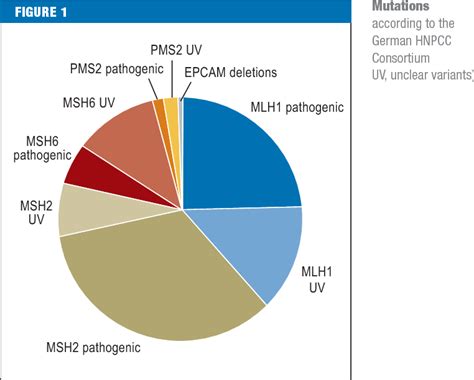 Figure 1 from Hereditary nonpolyposis colorectal cancer (HNPCC)/Lynch ...