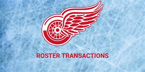 Detroit Red Wings Roster Moves 12/10 | Inside The Rink