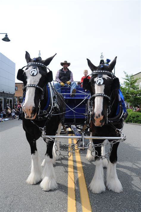 Rodeo Parade | Cloverdale Rodeo and Country Fair