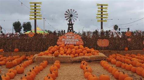 Pa's Pumpkin Patch – Pumpkins, Rides, Games & Fun for the whole family