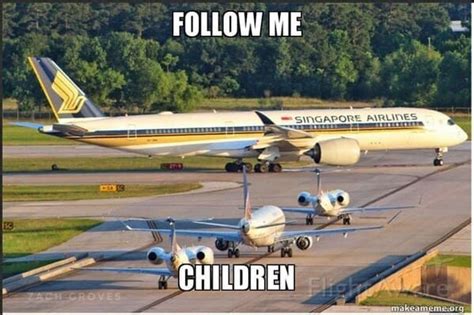 30 Hilarious Airline Memes For Travelers Who Would Rather Walk 1,000 ...