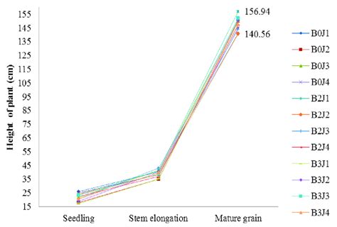 Plant growth at various growth stage. | Download Scientific Diagram