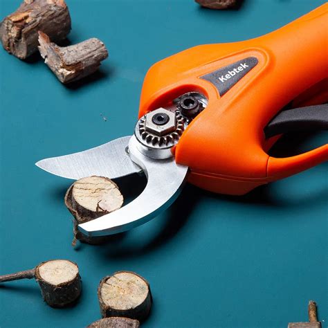 Best Cordless Pruning Shears in Every Gardener's Toolbox - Archute