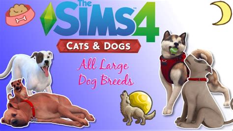 The Sims 4 Cats and Dog - All Large Dog Breeds - YouTube