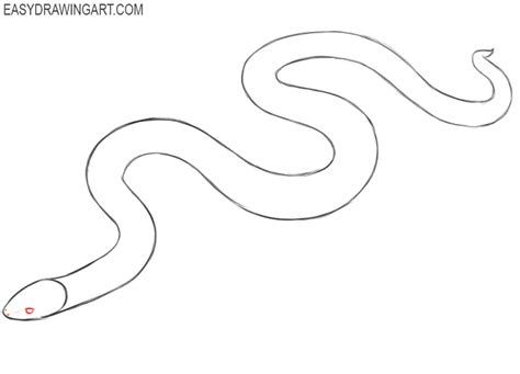 Snake Drawing For Kids