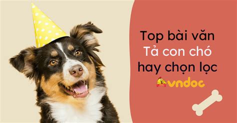 Tả con chó lớp 5 Hay Nhất (25 mẫu) - Văn tả con chó lớp 5 - VnDoc.com