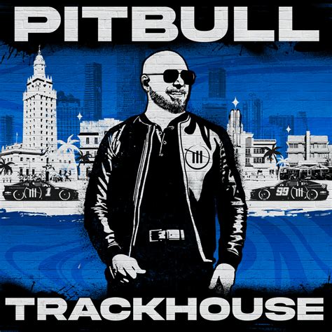 Pitbull Timber Album Cover