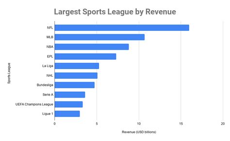 Top 10 Largest Sports Leagues by Revenue 2020, Which Sport Makes the Most Money?