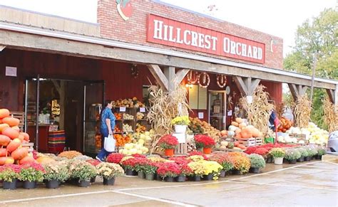 Hillcrest Orchard of Walnut Creek | Ohio's Amish Country