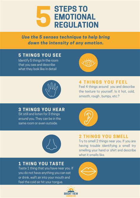 5 Steps to Emotional Regulation - Bright View Counseling