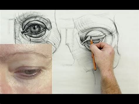 ANATOMY FOR ARTISTS: Eye Anatomy - YouTube