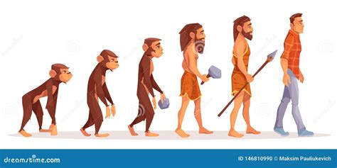 Stages Of Human Evolution Pictures - Illustration Of The Stages In ...