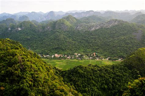 Road to recovery for Vietnam's forests - CIFOR's 2018 Annual Report