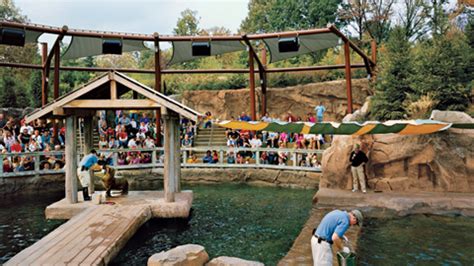 The Business of the Sea Lion Exhibit at the Louisville Zoo | Inc.com