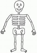 Free Printable Skeleton Coloring Pages For Kids sketch template