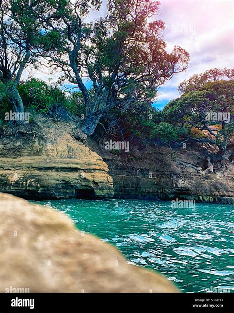 Little Manly Beach Stock Photo - Alamy