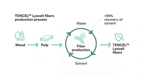 Lyocell And Tencel Fiber, Are They The Same? - Pariss Textile