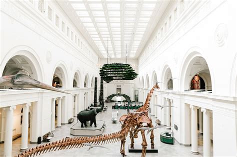 7 Chicago Museums You NEED to Visit | Holidayinnclub.com