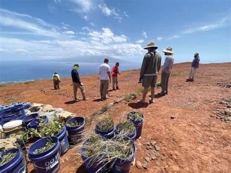 The Troubled History of Hawaii and the Lahaina Fire Cover-up | Advent Messenger