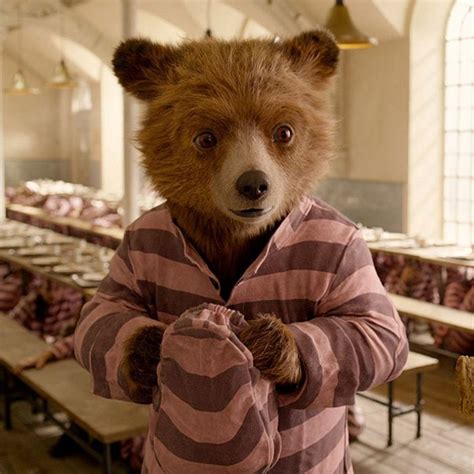 Paddington 2 Movie Review