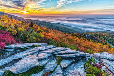 Fall Morning On the Blue Ridge | Smithsonian Photo Contest | Smithsonian Magazine