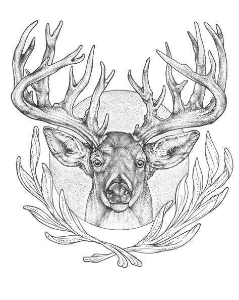 Elk Head Drawing at GetDrawings | Free download