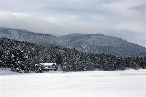 Golcuk / Bolu / Turkey, Winter Season Snow Landscape Stock Image ...