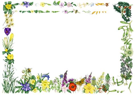 Wildflower border - Lizzie Harper