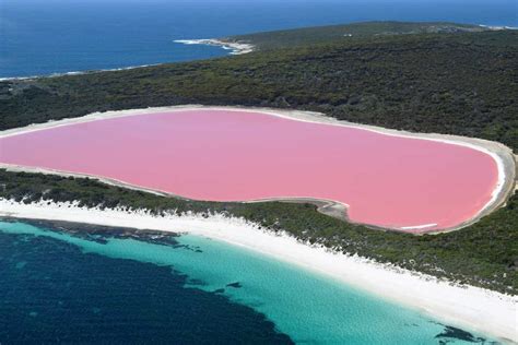 Australia's amazing millennial pink lakes - 9Travel