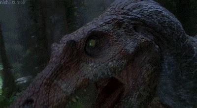 Jurassic Park Spinosaurus Gif