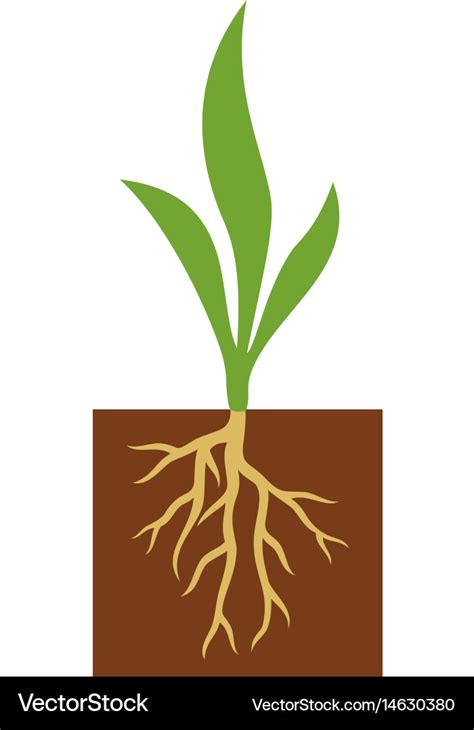 Vector Plant Roots - Free Vector And Clipart Ideas