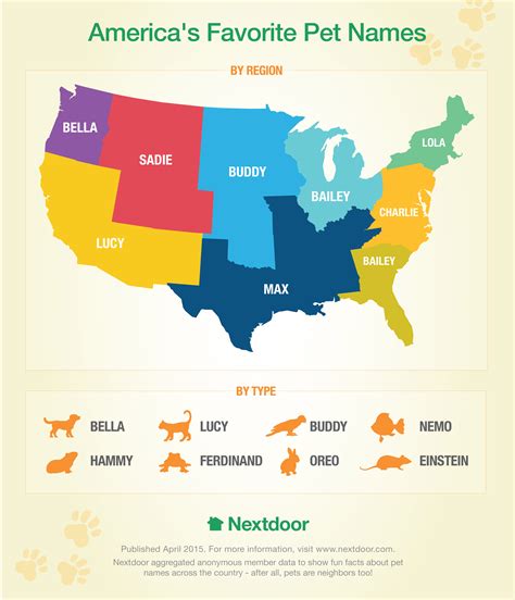 Celebrating National Pet Day with America’s Favorite Pet Names - Nextdoor Blog