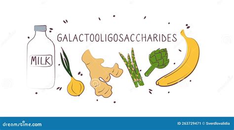 Galactose Foods