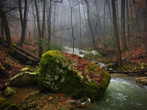 Visit Wartburg: 2024 Travel Guide for Wartburg, Tennessee | Expedia